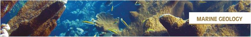 Marine Geology Marine Geology